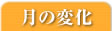 平均との比較